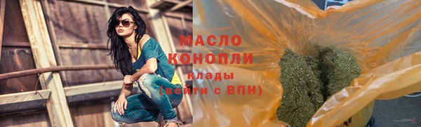 мдпв Михайлов