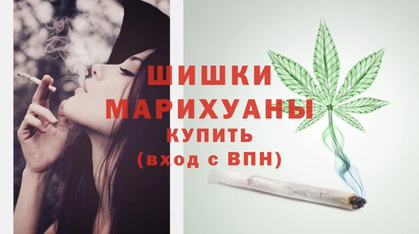 соль ск Медногорск