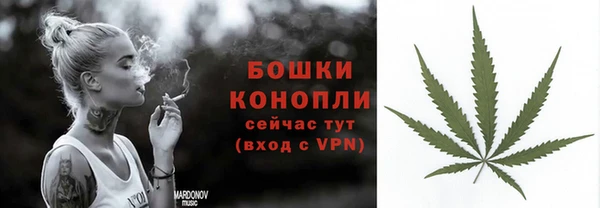гидра Михайловск