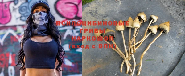 эйфоретик Мегион