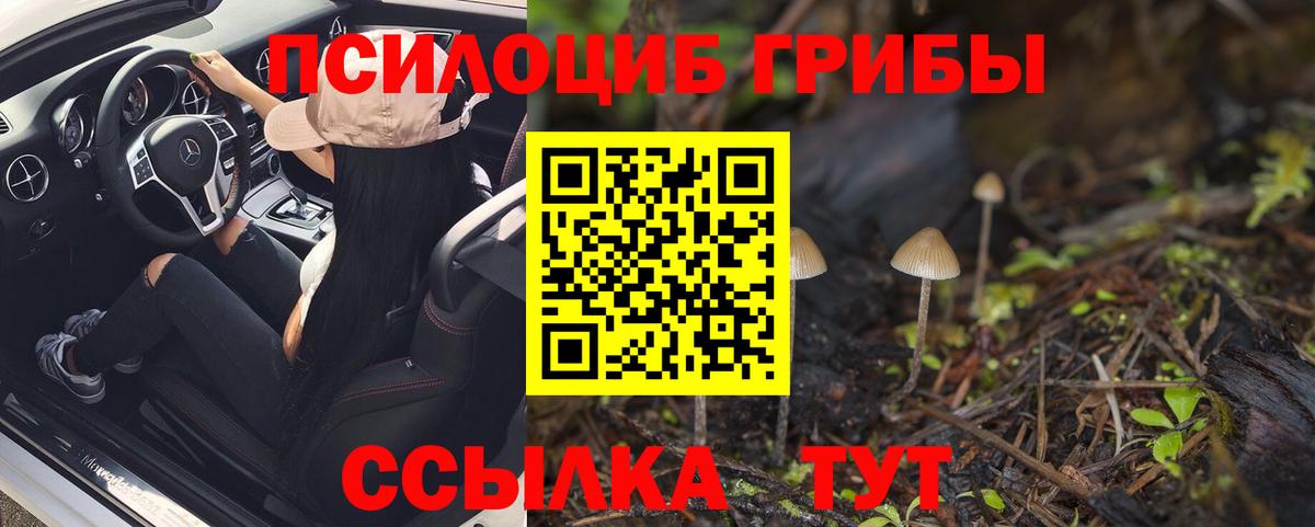 купить наркоту  Псилоцибиновые грибы Magic Shrooms  Вход с VPN  Магадан 